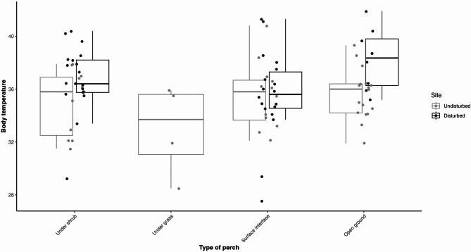 Habitat conservation enhances the resilience of the lizard Liolaemus cuyumhue to high summer temperatures.