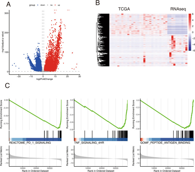 Immune signature and pathways investigation of adrenal gland diffuse large B-cell lymphoma.