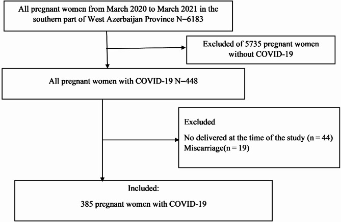 Association between maternal anemia during pregnancy with low birth weight their infants.