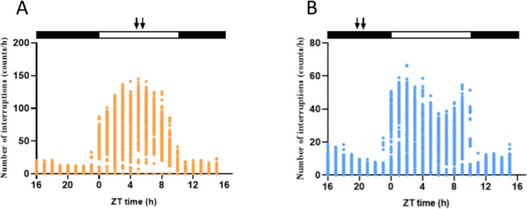 Influence of feeding time on daily rhythms of locomotor activity, clock genes, and epigenetic mechanisms in the liver and hypothalamus of the European sea bass (Dicentrarchus labrax).