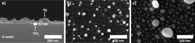 Long-lived photoexcitation probed by photo-induced enhanced Raman spectroscopy: unveiling charge dynamics in Ag-TiO<sub>2</sub> nano-heterojunctions.