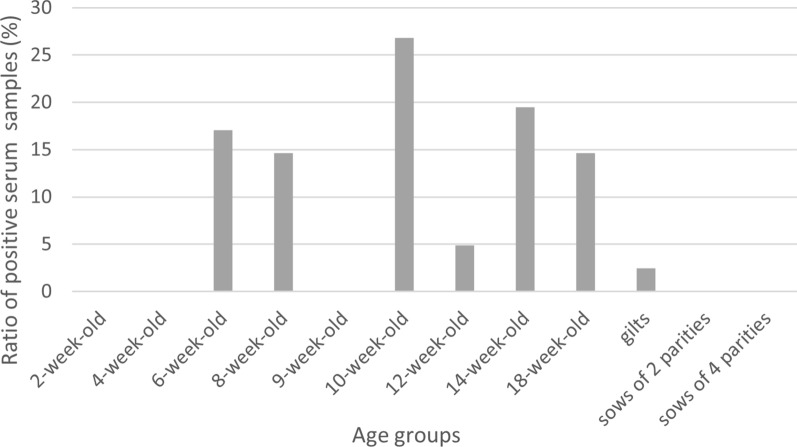 Prevalence estimation of Pestivirus scrofae (atypical porcine pestivirus) among Hungarian pig herds and the effects of different sample types on detection rates.