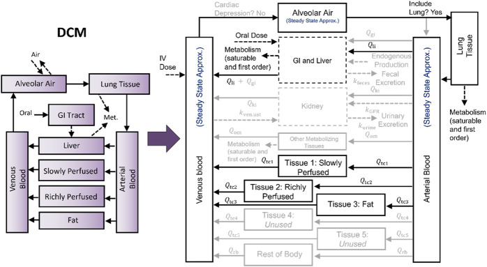 Comparing computational times for simulations when using PBPK model template and stand-alone implementations of PBPK models.