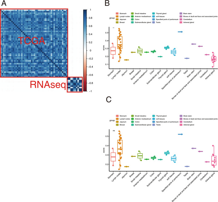 Immune signature and pathways investigation of adrenal gland diffuse large B-cell lymphoma.