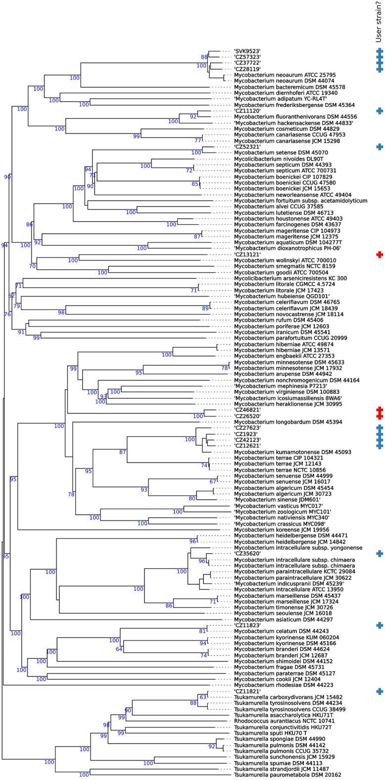 Diagnostics, resistance and clinical relevance of non-tuberculous mycobacteria unidentified at the species level by line probe assays: a bi-national study.