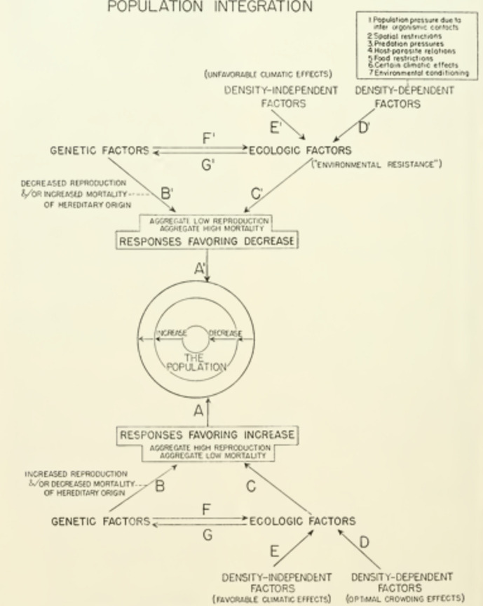 The Chicago school of ecology's evolutionary superorganism and the clements-wright connection.
