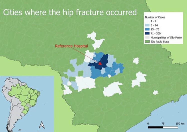 Performance of the Nottingham hip fracture score (NHFS) as a predictor of 30-day mortality after proximal femur fracture in an older people Brazilian cohort.