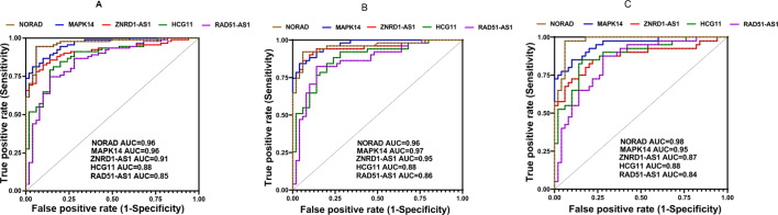 Up-regulation of MAPK14-related lncRNAs in the circulation of migraineurs.