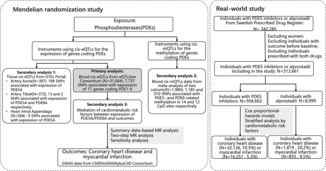 Phosphodiesterase 5 and its inhibitors with ischaemic heart disease: a Mendelian randomization analysis and a real-world study.