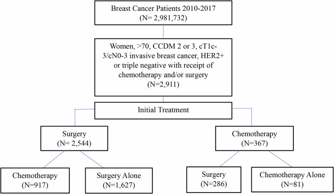 Sequence of therapy impact on older women with comorbidities and triple-negative or HER2-positive breast cancer.