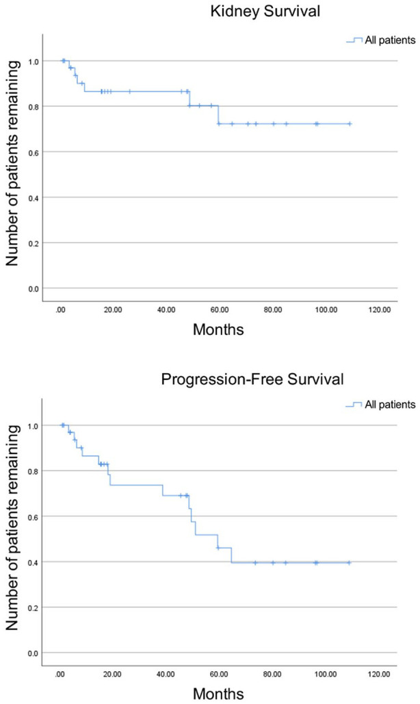 Clinical and Pathological Characteristics of Non-AL Amyloidosis MGRS: A Single-Center Experience Over 10 Years.