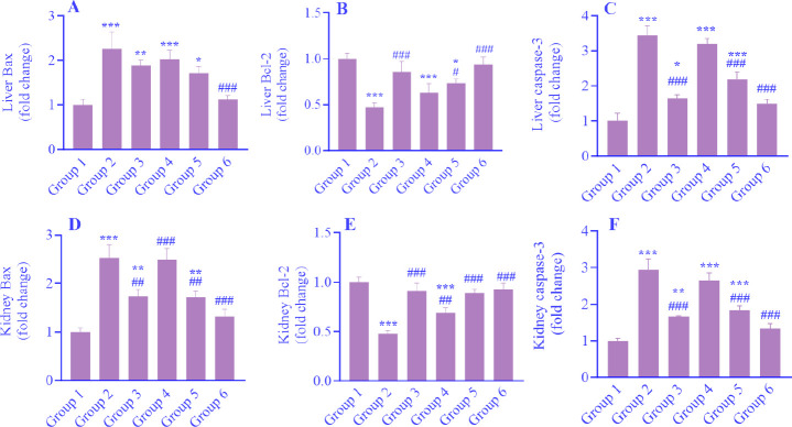 Thymoquinone mitigates diclofenac-induced hepatorenal toxicity in male Wistar rats by balancing the redox state and modulating Bax/Bcl-2/caspase-3 apoptotic pathways and NF-κB signaling.