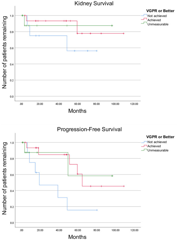 Clinical and Pathological Characteristics of Non-AL Amyloidosis MGRS: A Single-Center Experience Over 10 Years.