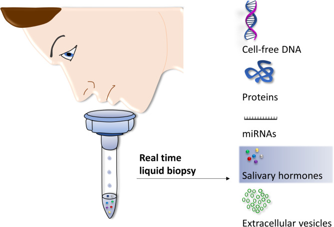 Salivary hormones in depression: the future in diagnosis and treatment.