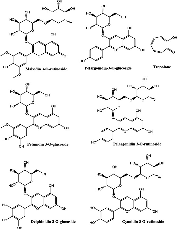 Phytochemical analysis, bioactivity, and molecular docking studies of Myrtus communis L. seeds and fruit peel extracts demonstrating antioxidant and anti-tyrosinase properties.