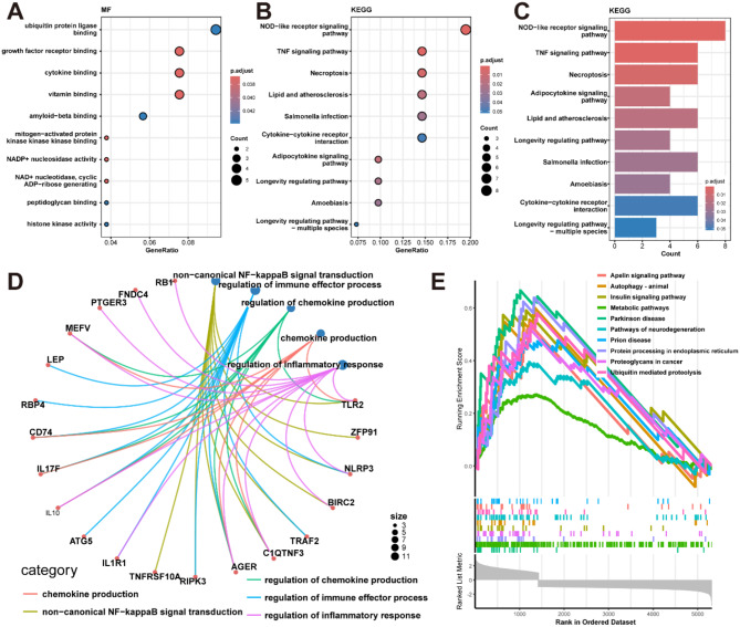 Combining machine learning with external validation to explore necroptosis and immune response in moyamoya disease.