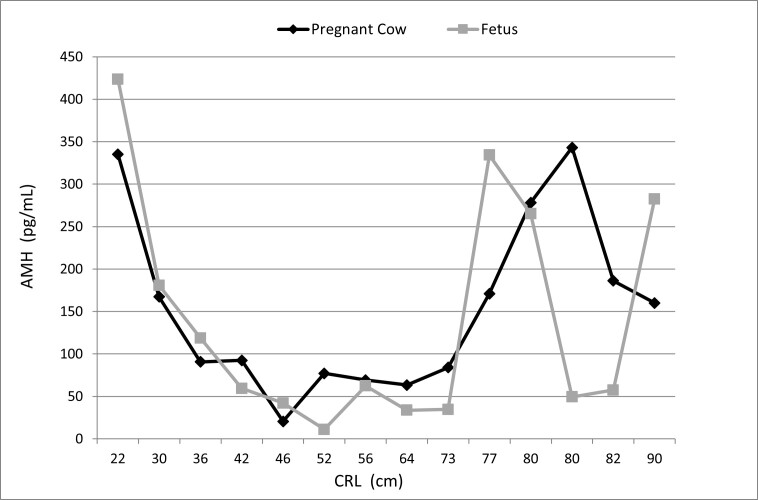 Anti-mullerian hormone (AMH) in pregnant buffaloes: maternal and fetal plasma concentrations and immunolocalization in the fetal gonads.
