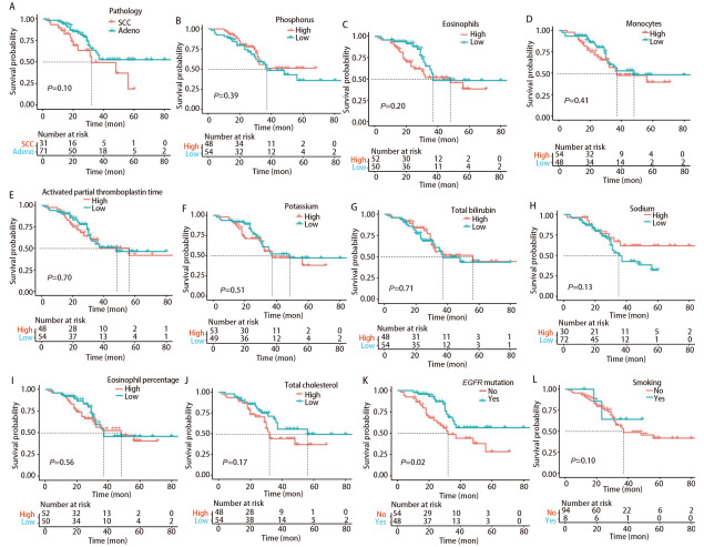 [Exploration of the Predictive Value of Peripheral Blood-related Indicators for EGFR  Mutations and Prognosis in Non-small Cell Lung Cancer Using Machine Learning].