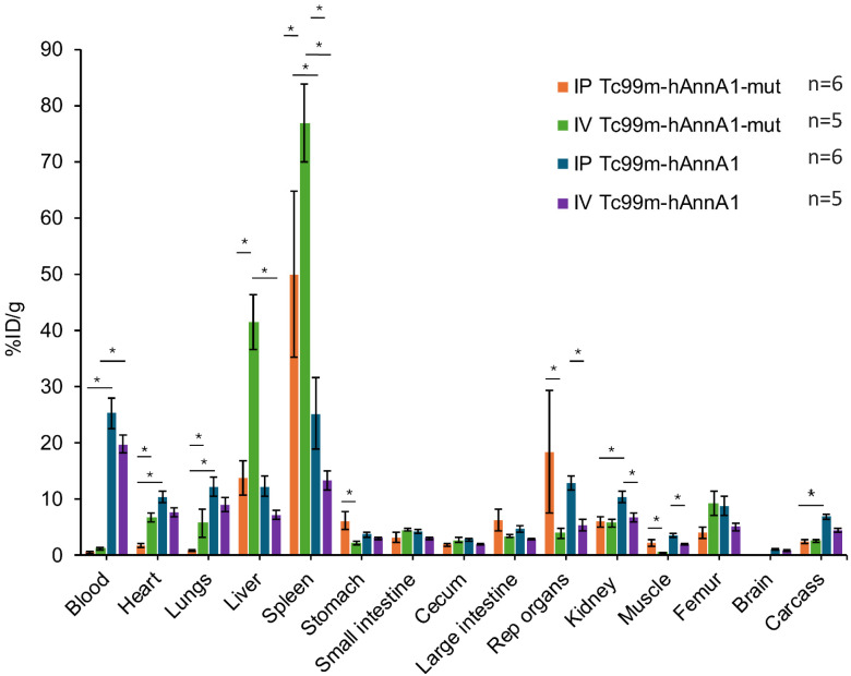 Clinical Scaleup of Humanized AnnA1 Antibody Yielded Unexpected High Reticuloendothelial (RES) Uptake in Mice.