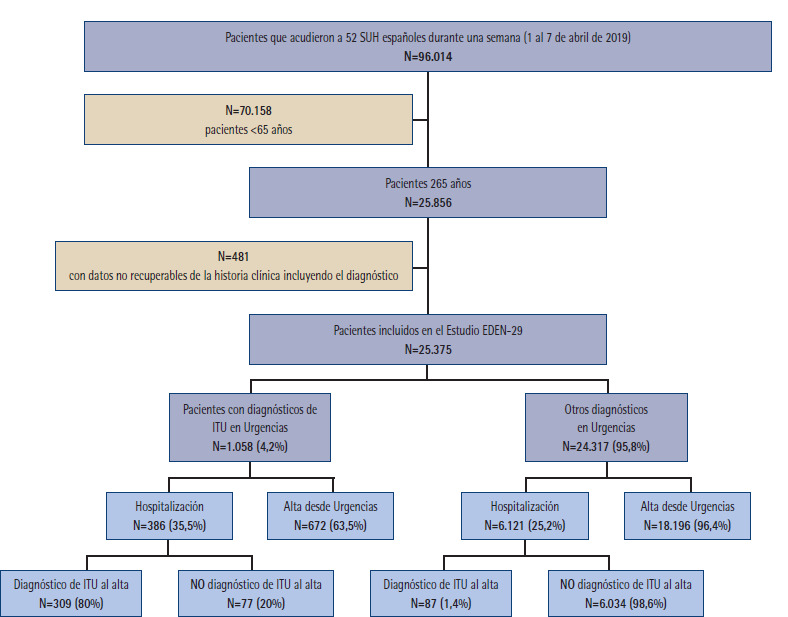 [Epidemiological and clinical management aspects related to urinary tract infections diagnosed in the emergency department in elderly patients in Spain: Results of the EDEN-36 study].