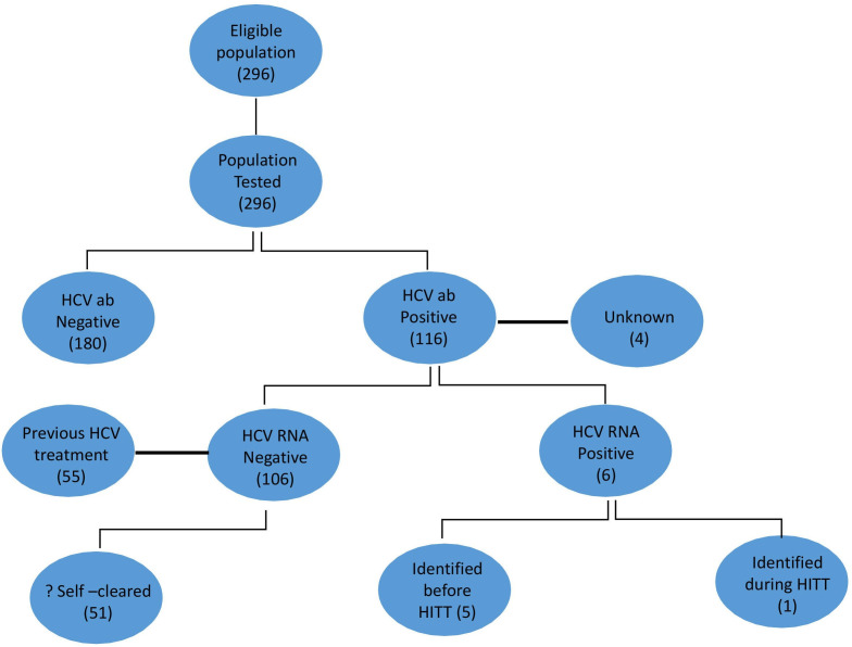Prospective evaluation of the impact of repeated whole prison testing for hepatitis C.