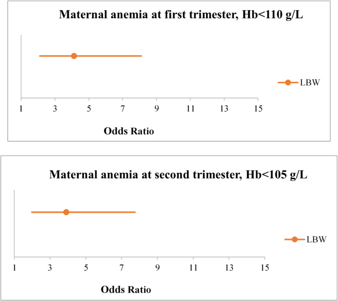 Association between maternal anemia during pregnancy with low birth weight their infants.