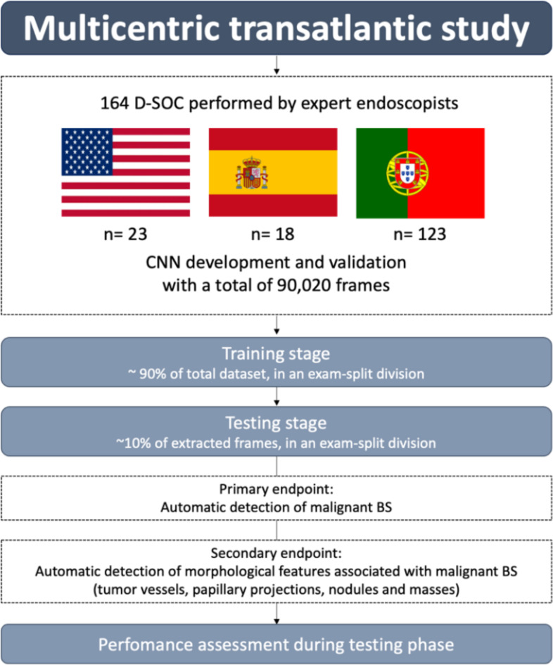 Artificial intelligence for automatic diagnosis and pleomorphic morphological characterization of malignant biliary strictures using digital cholangioscopy.