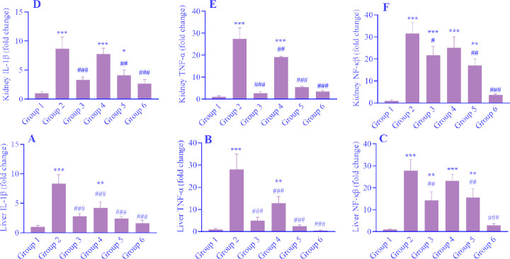 Thymoquinone mitigates diclofenac-induced hepatorenal toxicity in male Wistar rats by balancing the redox state and modulating Bax/Bcl-2/caspase-3 apoptotic pathways and NF-κB signaling.