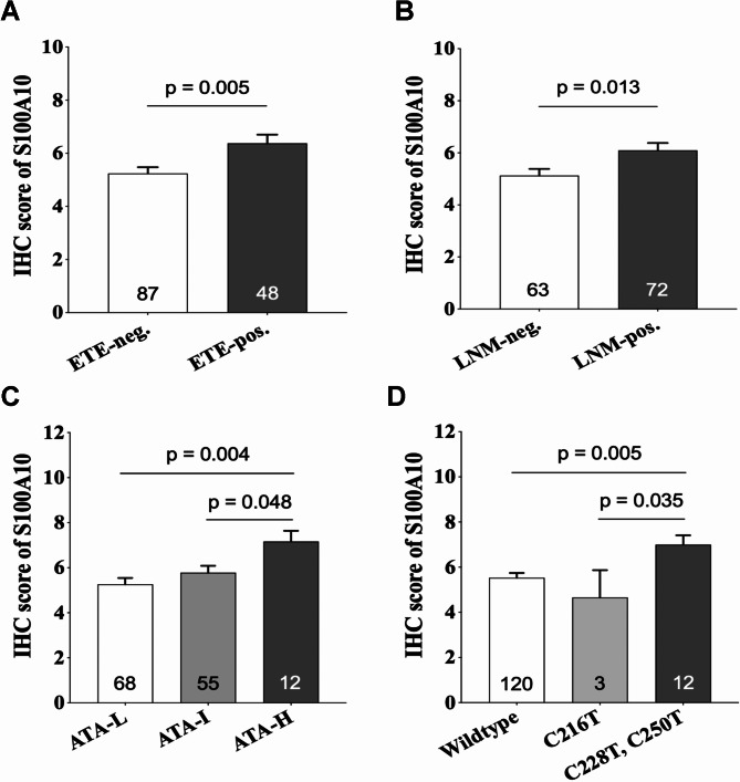 The impact of C216T and hot spot mutations of the TERT promoter on the clinicopathologic characteristics and S100A10 expression in papillary thyroid carcinoma: a comparative study.