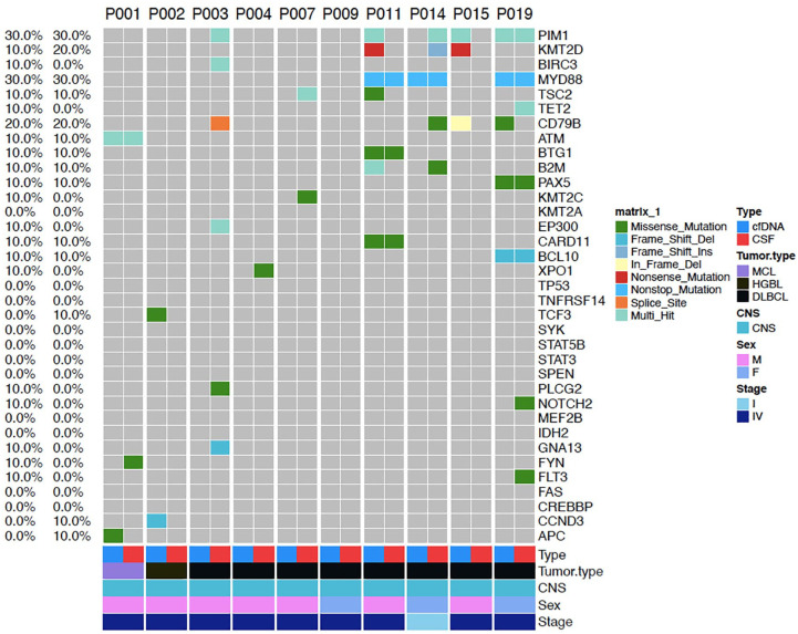 Next-generation sequencing of circulating tumor DNA in cerebrospinal fluid for detecting gene mutations in central nervous system lymphoma patients.