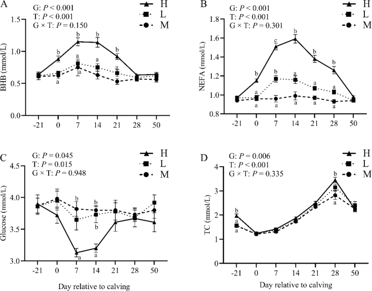 Effect of body condition score loss during the transition period on metabolism, milk yield and health in Holstein cows.