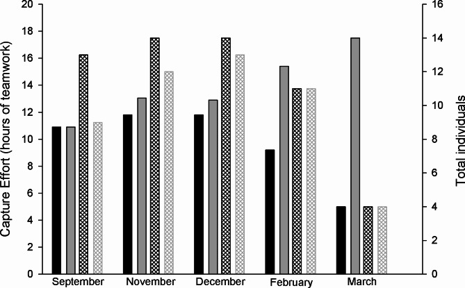 Habitat conservation enhances the resilience of the lizard Liolaemus cuyumhue to high summer temperatures.