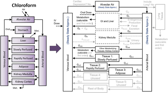 Comparing computational times for simulations when using PBPK model template and stand-alone implementations of PBPK models.