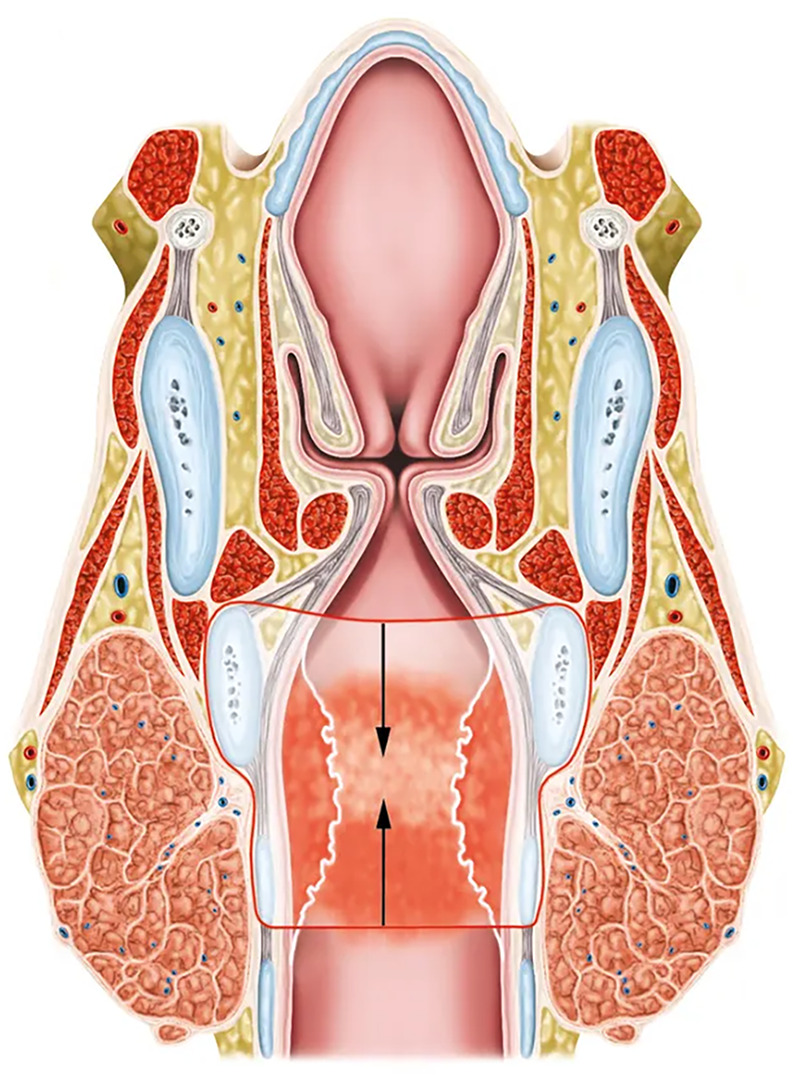 Abstract Image