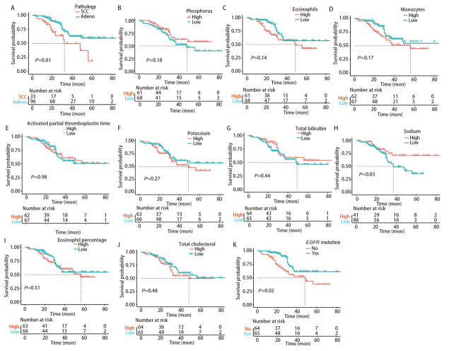 [Exploration of the Predictive Value of Peripheral Blood-related Indicators for EGFR  Mutations and Prognosis in Non-small Cell Lung Cancer Using Machine Learning].