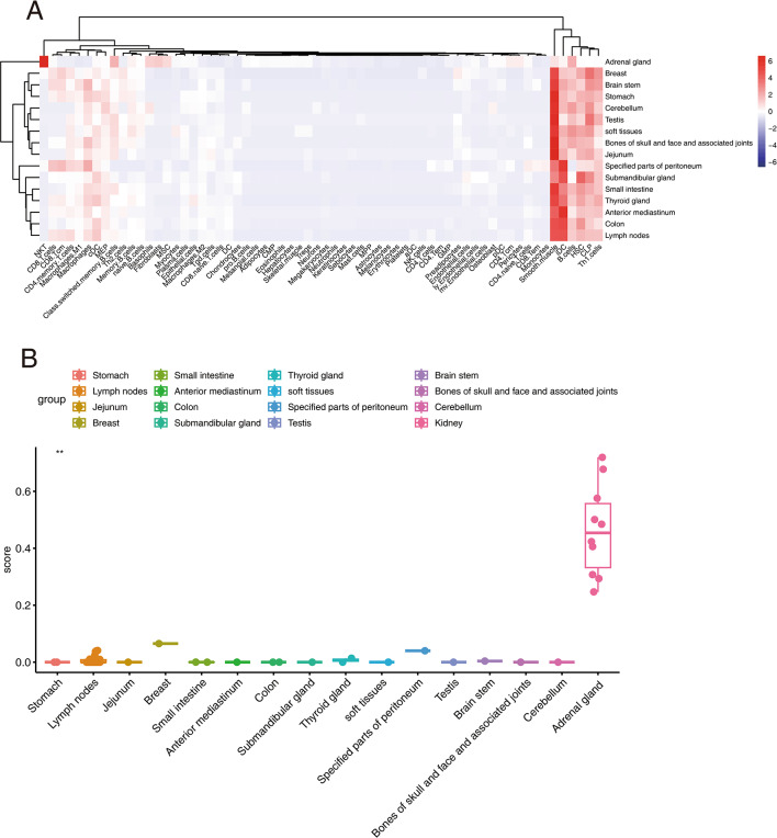 Immune signature and pathways investigation of adrenal gland diffuse large B-cell lymphoma.