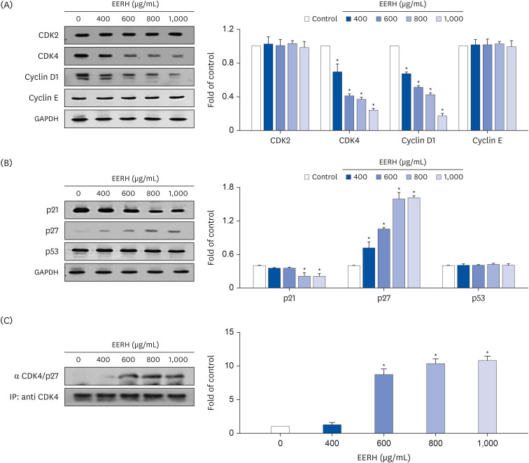The edible ethanol extract of <i>Rosa hybrida</i> suppresses colon cancer progression by inhibiting the proliferation-cell signaling-metastasis axis.