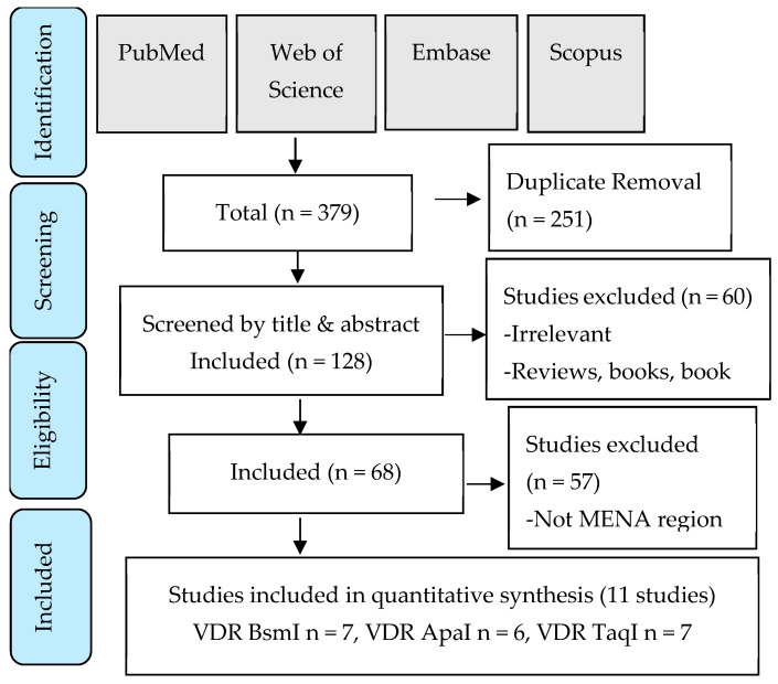 Association Between Vitamin D Receptor BsmI Polymorphism and Low Bone Mineral Density in Postmenopausal Women in the MENA Region.