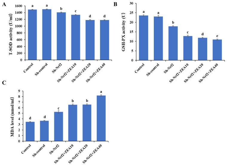 shRNA-interfered of Nrf2 reveals a critical role for Keap1-Nrf2 signaling pathway during effects of zearalenone induced oxidative stress in IPEC-J2 cells.