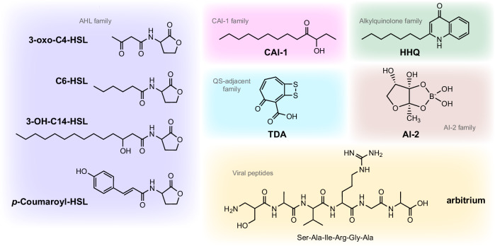 A review of quorum-sensing and its role in mediating interkingdom interactions in the ocean.