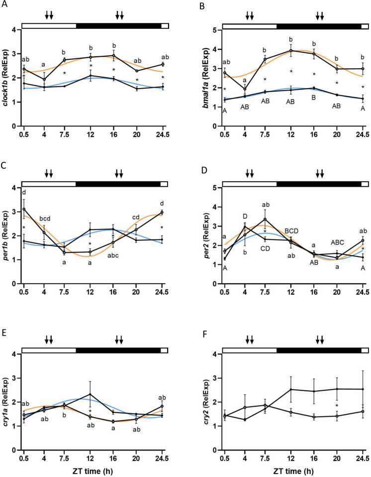 Influence of feeding time on daily rhythms of locomotor activity, clock genes, and epigenetic mechanisms in the liver and hypothalamus of the European sea bass (Dicentrarchus labrax).