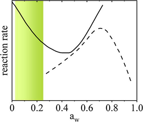 Water Activity as an Indicator for Antibody Storage Stability in Lyophilized Formulations.