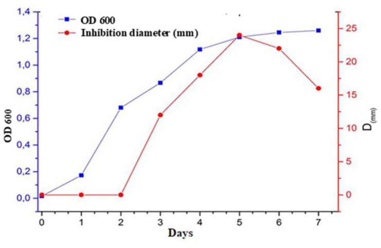 Exploring the antimicrobial potential of two haloarchaeal strains belonging to the genera <i>Halopiger</i> and <i>Natrialba</i> isolated from the Algerian Sahara.