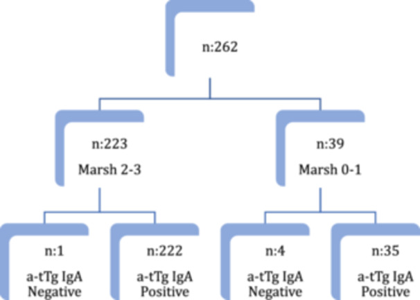 A multicenter study: New cut-off values of antitransglutaminase antibodies processed by chemiluminescence in children with suspected celiac disease.