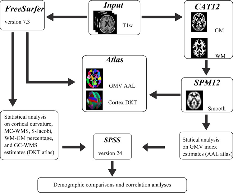 The effects of flight training on flying cadets' brain structure.