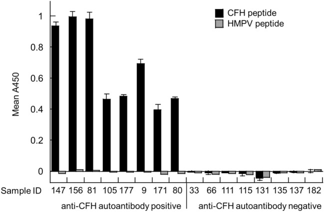 A tumor-binding antibody with cross-reactivity to viral antigens.