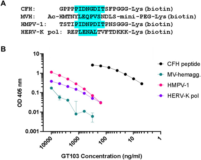 A tumor-binding antibody with cross-reactivity to viral antigens.
