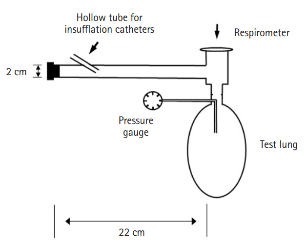 Transcatheter ventilation with a modified Rapid-O2 oxygen insufflation device.