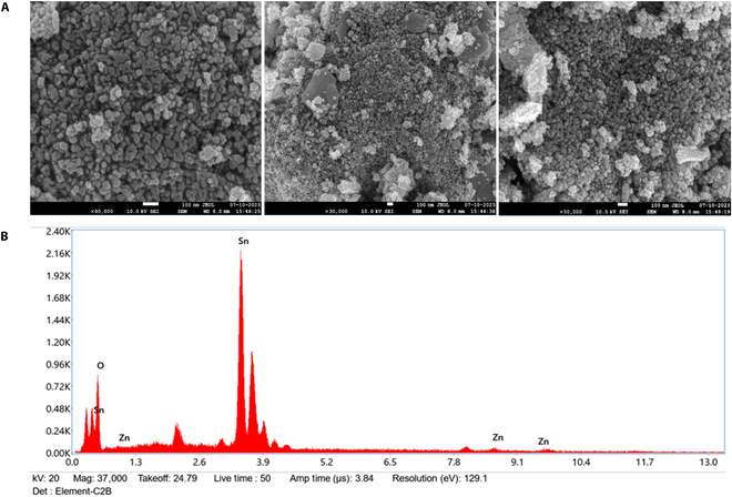 Direct Redox Sensing of Caffeine Utilizing Zinc-Doped Tin Oxide Nanoparticles as an Electrocatalyst.