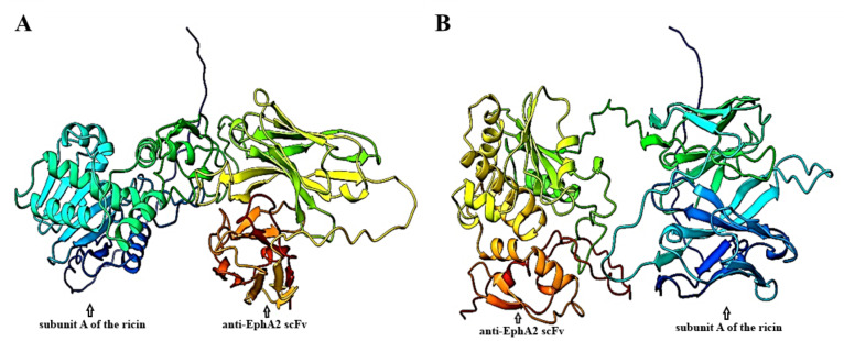 Design and Characterization of Ricin Based Immunotoxins Against EPHA2 Receptor for Breast Cancer Therapy: An In-Silico Study.